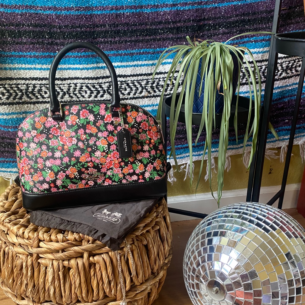 Coach Mini Sierra Satchel F57621